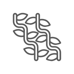 High Fiber
