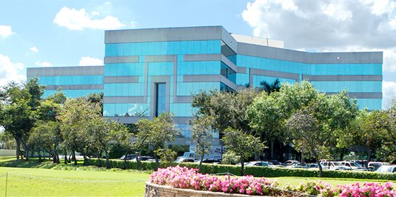 BSN Banner 1